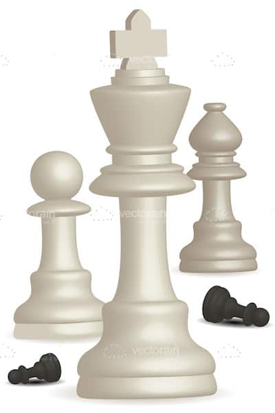 Shiny Chess Pieces in Black and White